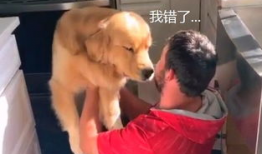 网红狗哥爆料吃瓜事件,揭秘娱乐圈吃瓜大事件！